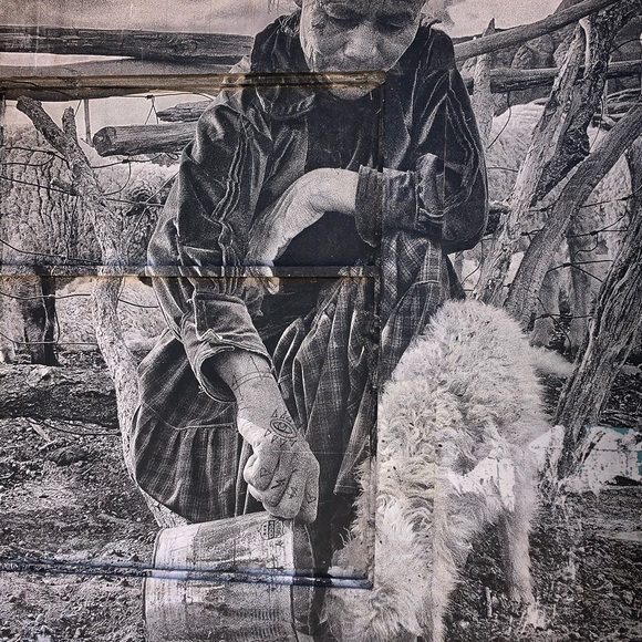 Meet your Posher, Sarah - Picture 12 of 15